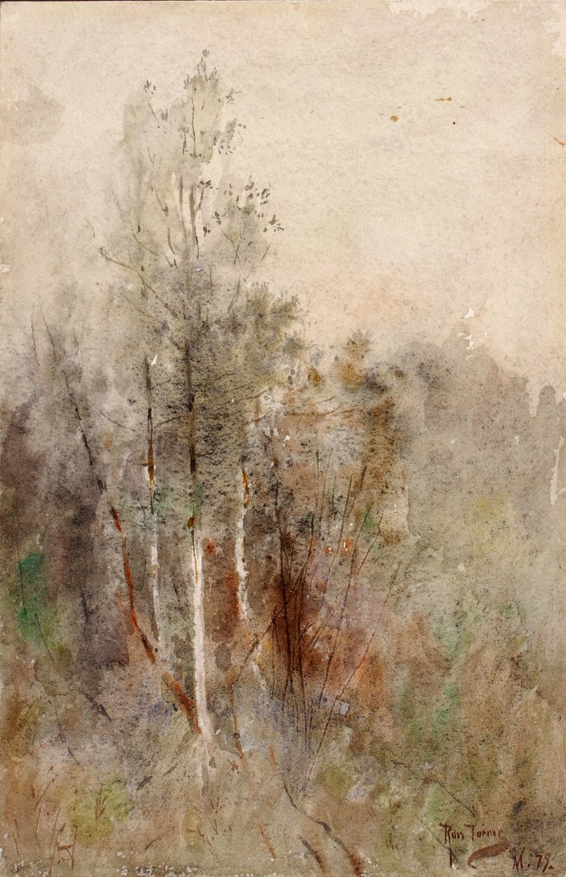  av Ross Turner