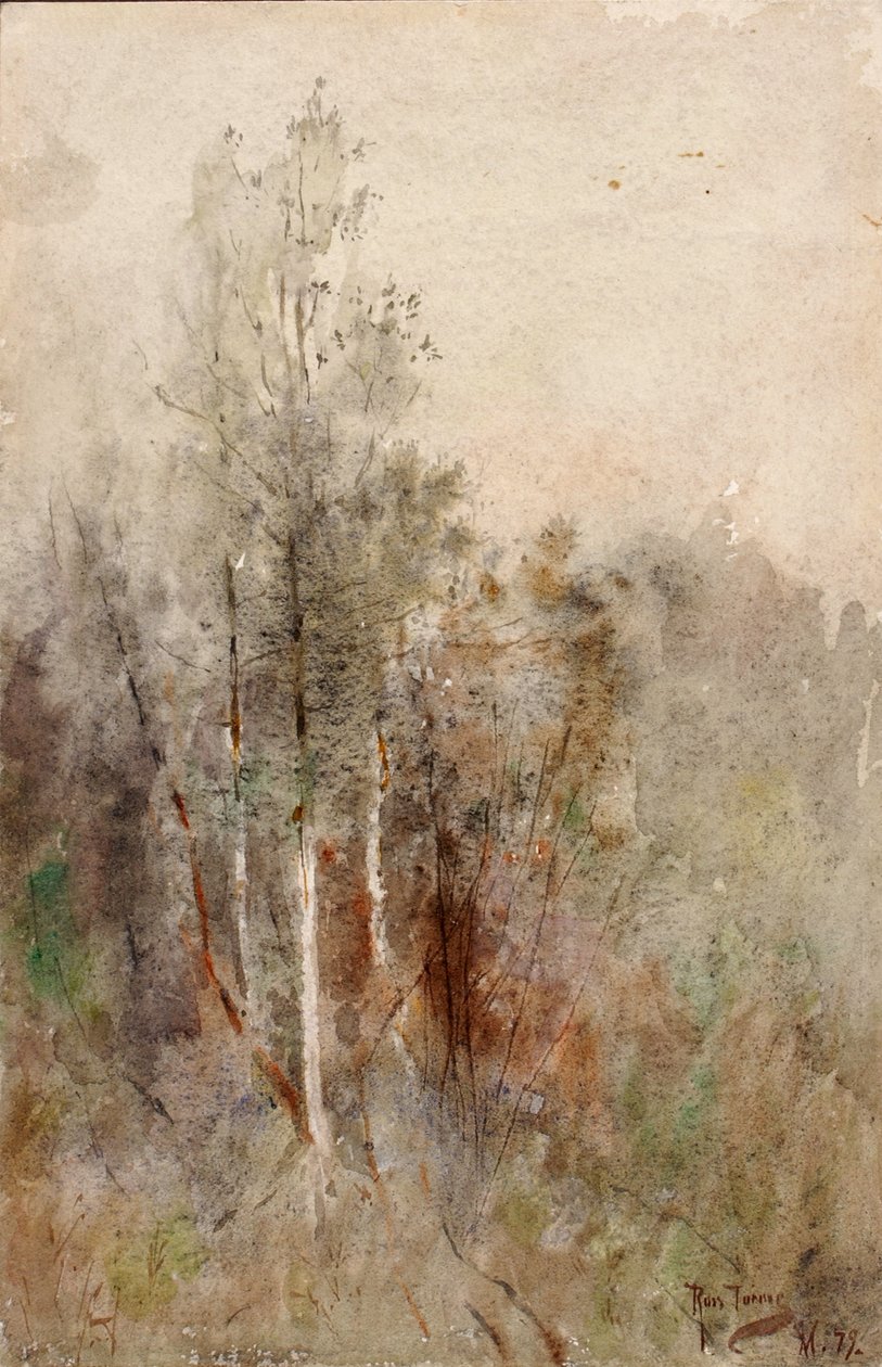 En trestudie, 1879. av Ross Turner