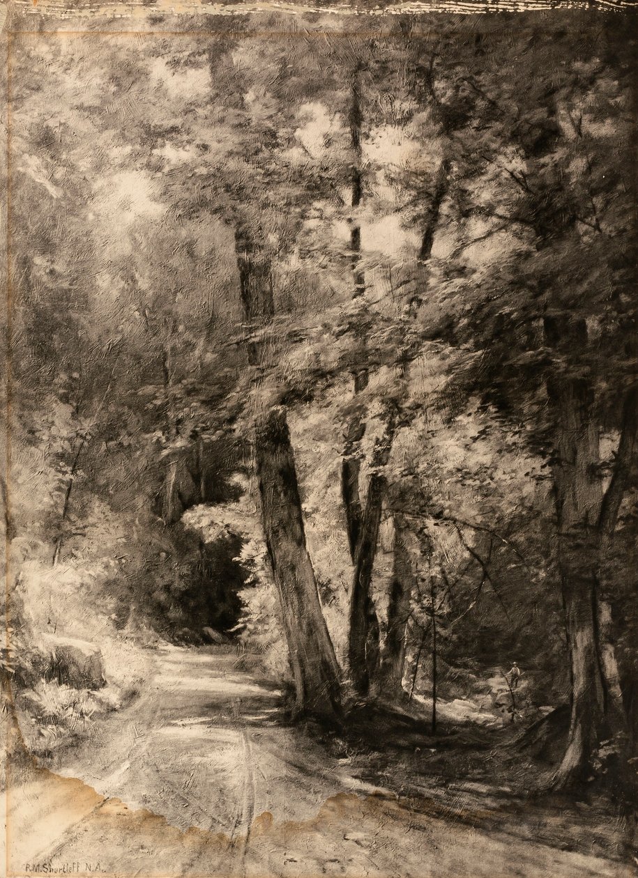  av Roswell Morse Shurtleff