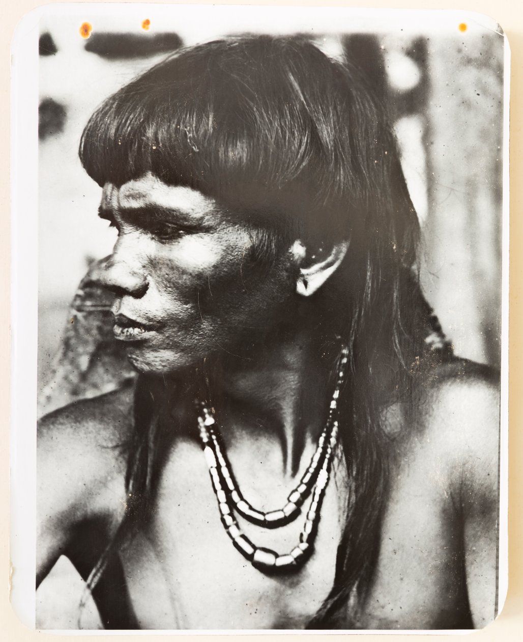 Ifugao fra landsbyen Pindungan, 1919 (s/hvitt-bilde) av Roy Barton