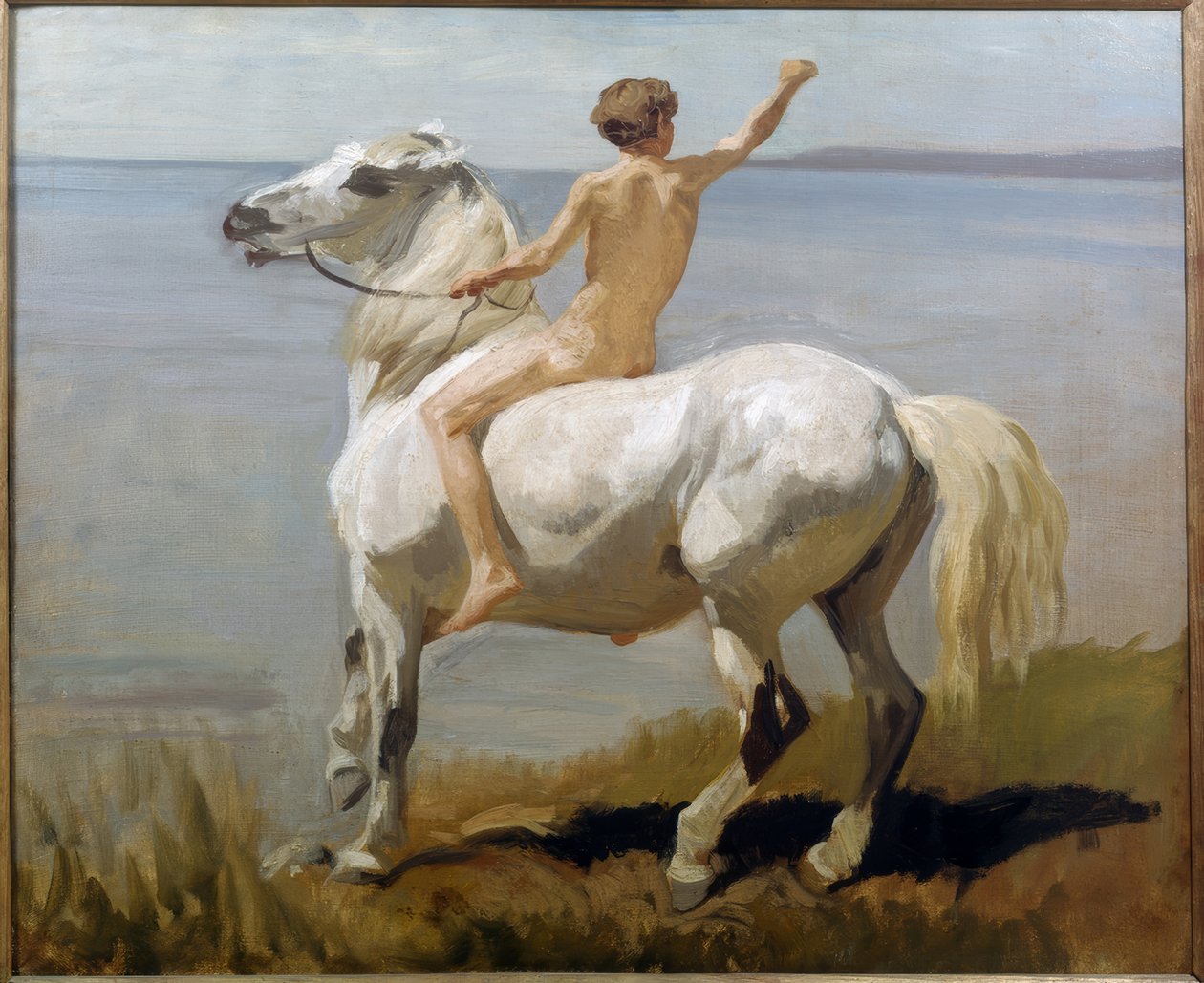  av Rudolf Koller