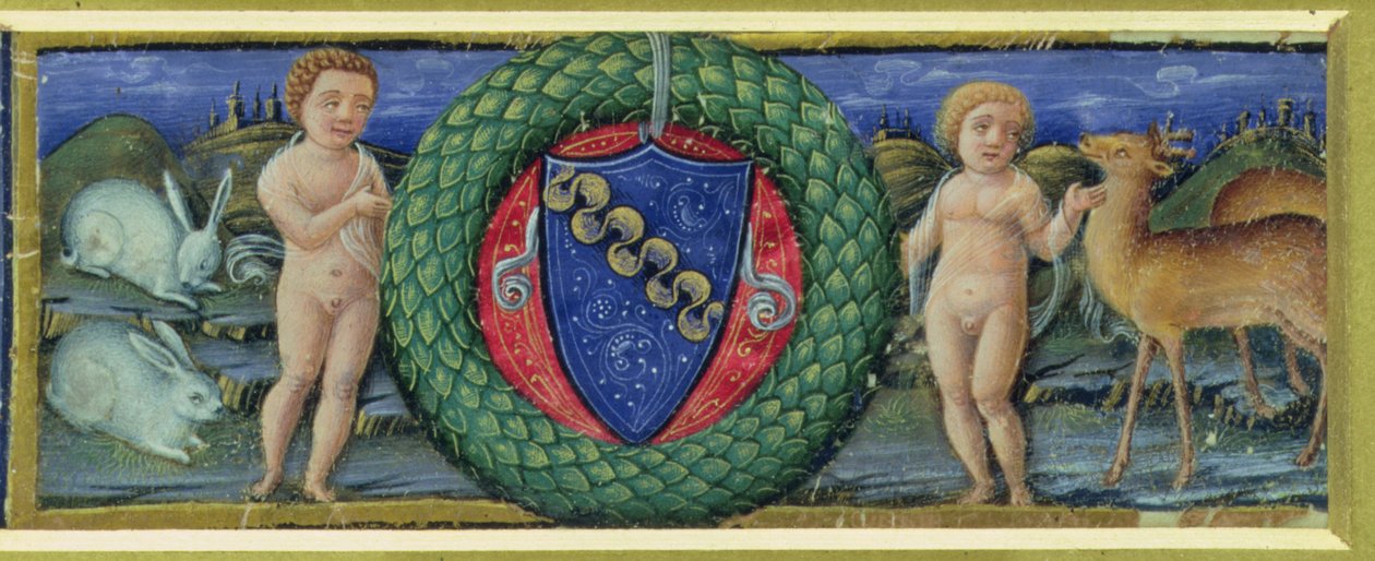 Våpenskjoldet til familien Marcello av Russi Francesco di Giovanni de