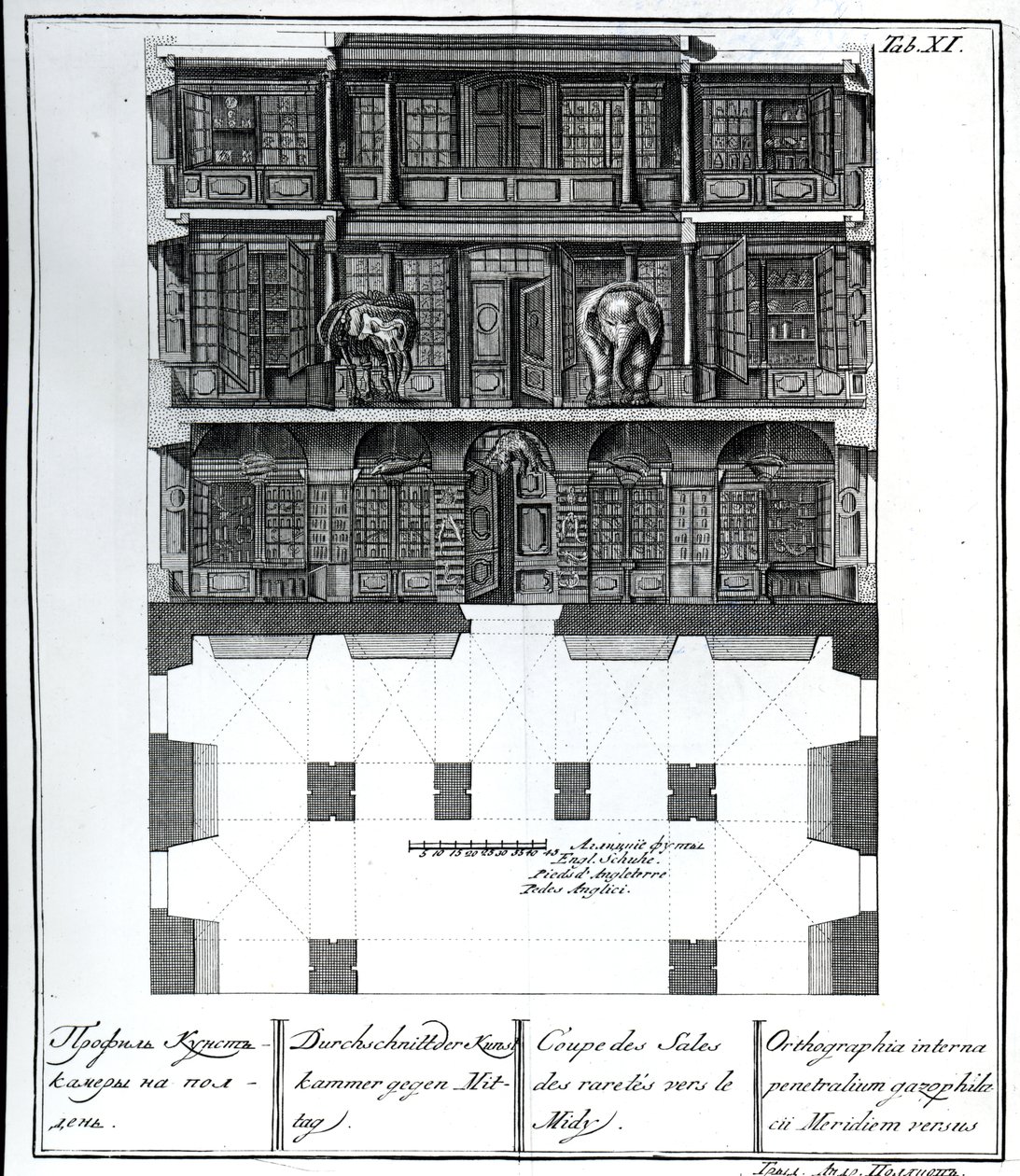 Et utsnitt av Hall of Rarities mot sør, illustrasjon i Chambers of the St. Petersburg Imperial Academy of Sciences Library and Gallery som viser planer, fasader og profiler av Johann av Russian School