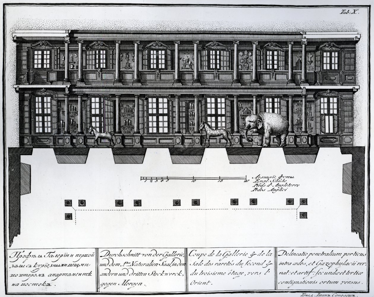 Snittvisning av andre og tredje etasje i Hall of Rarities ser østover, illustrasjon i Chambers of the St. Petersburg Imperial Academy of Sciences Library and Gallery som viser Plans, Fac av Russian School