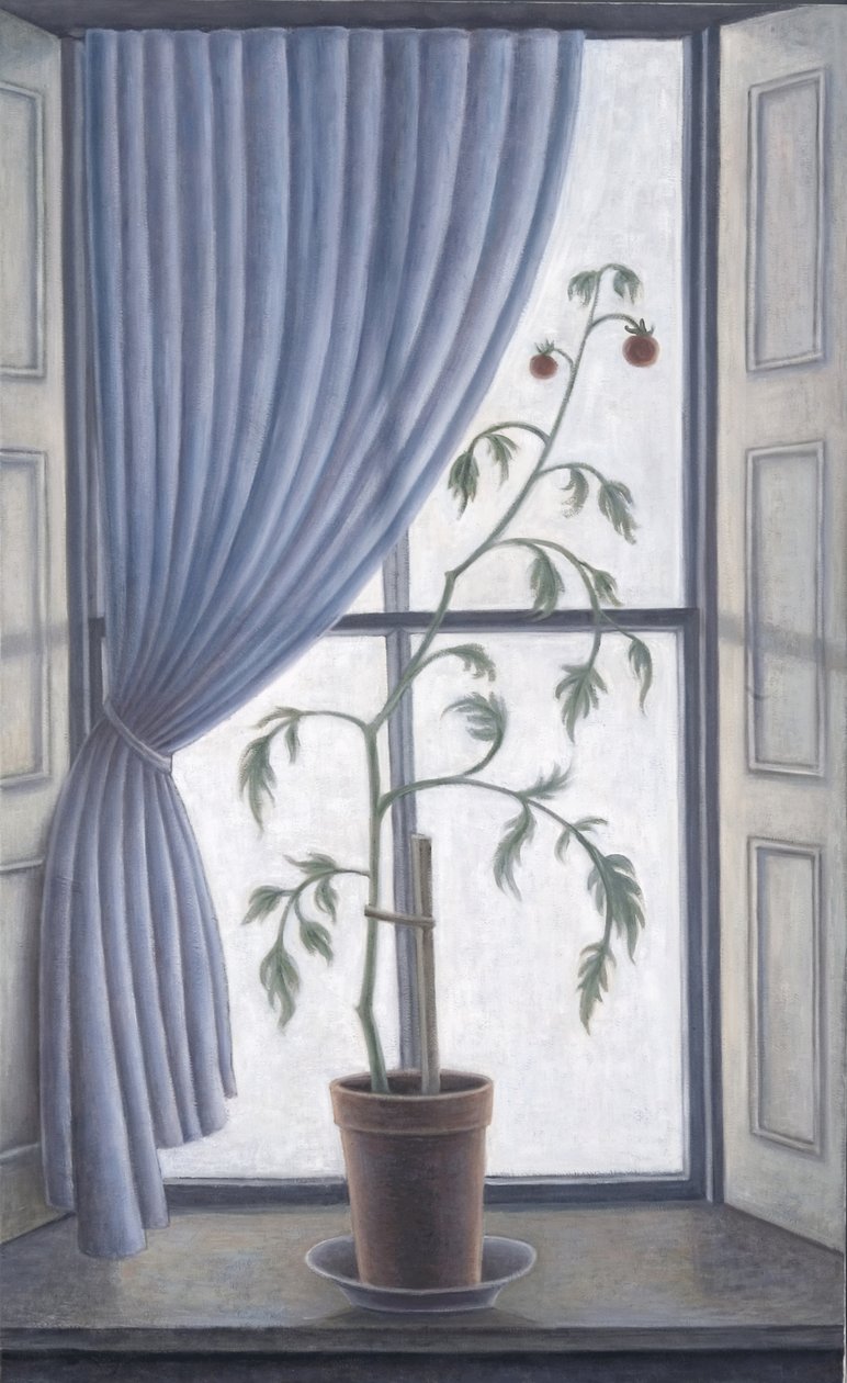 Plant in Window, 2003 av Ruth Addinall