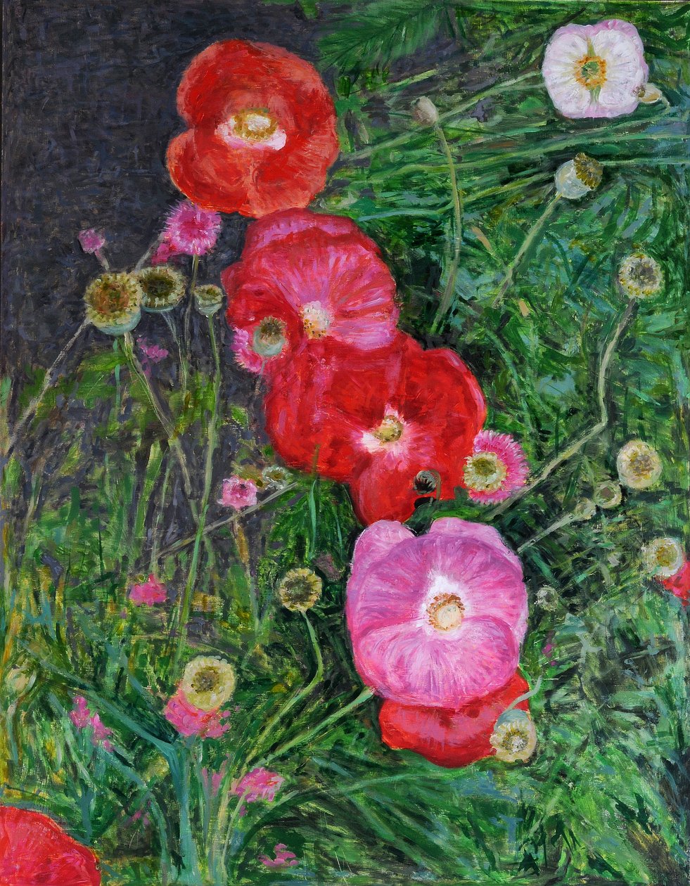 Valmuer, 2009 (olje på tre) av Ruth Addinall