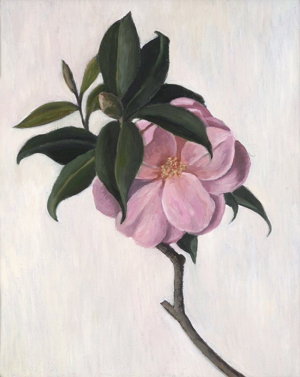 Camellia, 1998 av Ruth Addinall