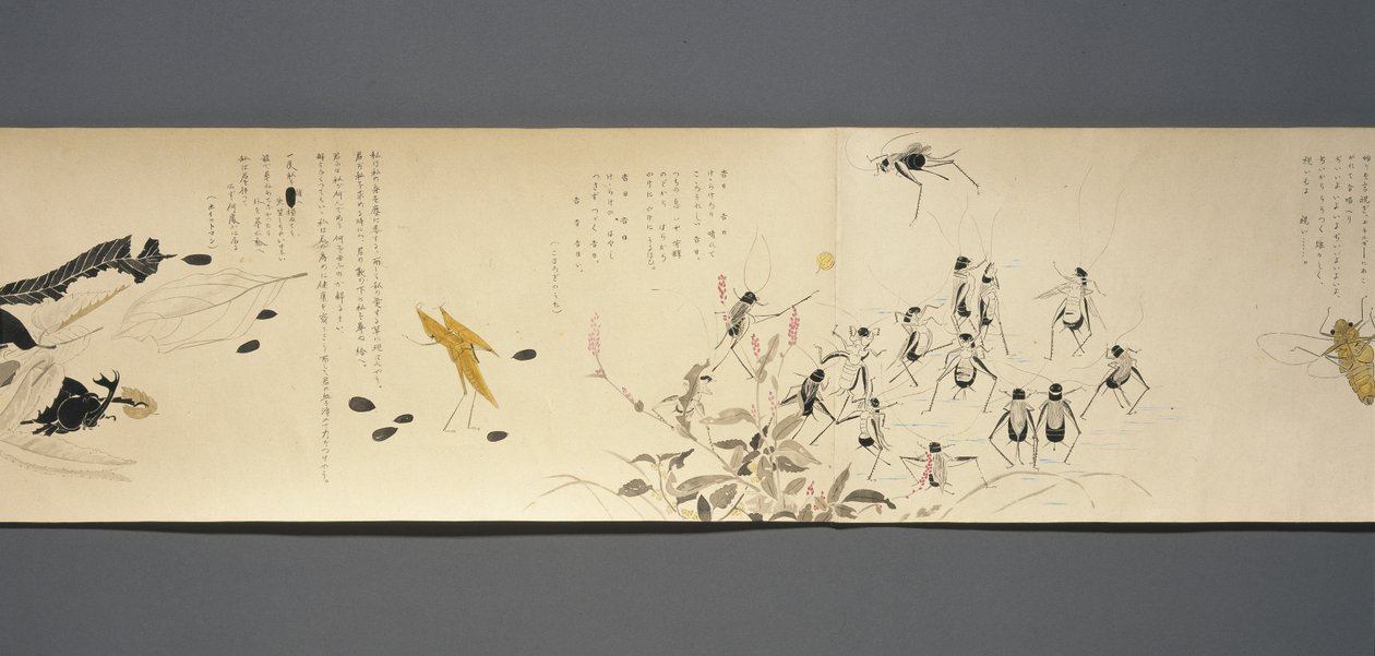 Wildlife Friends (Yasei no Tomo), Taisho-perioden, Taisho 7. år, ca. 1918 (blekk og wc på vevd papir dekorert med glimmer) av Ryoka Kawakami