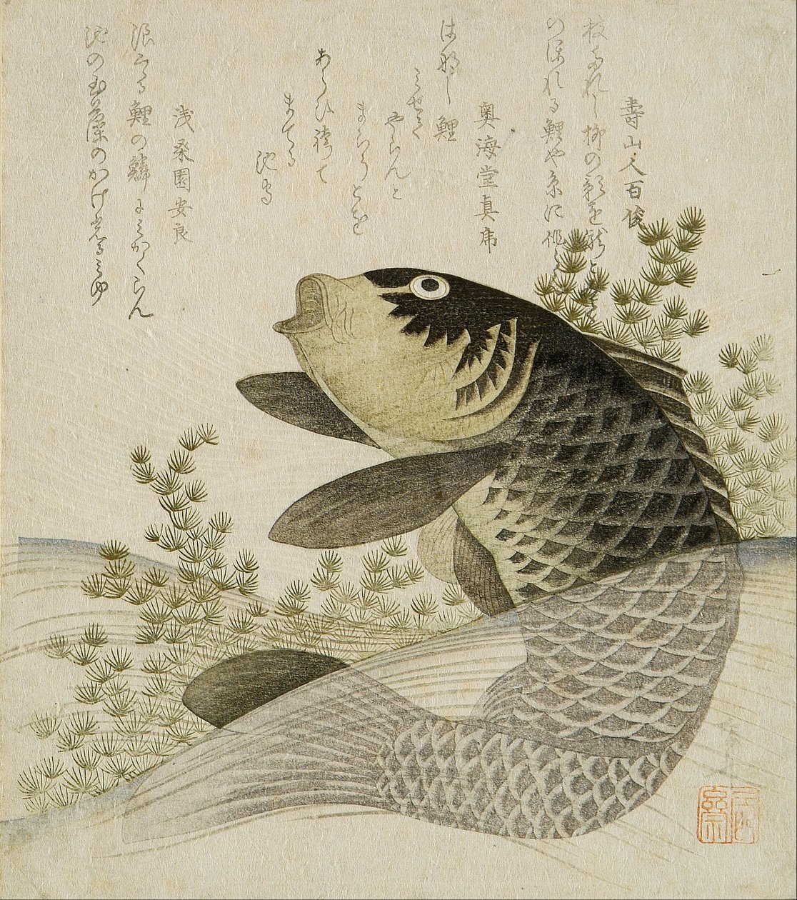 Karpe blant damplanter av Ryuryukyo Shinsai