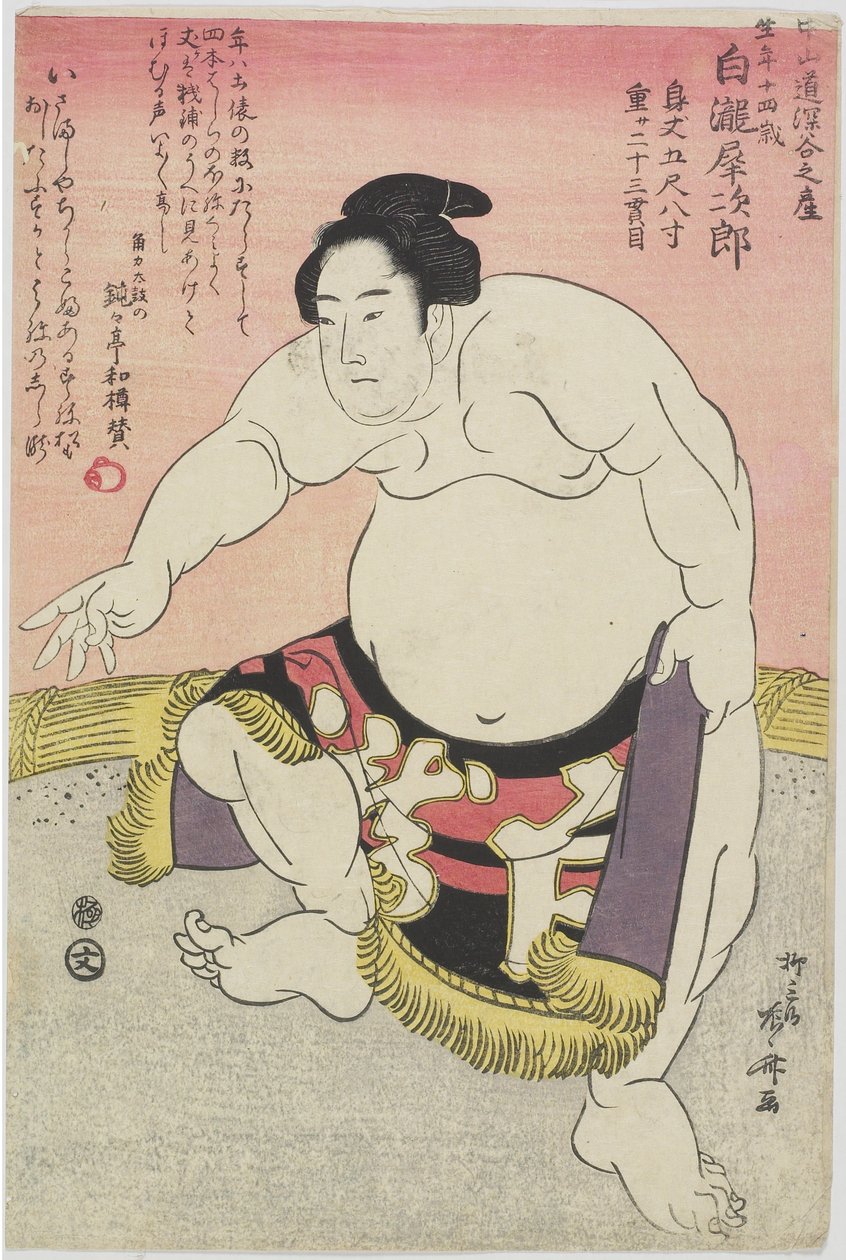 Tesmo _ Wre ster Shirataki Noodles _ av Ryuryukyo Shinsai