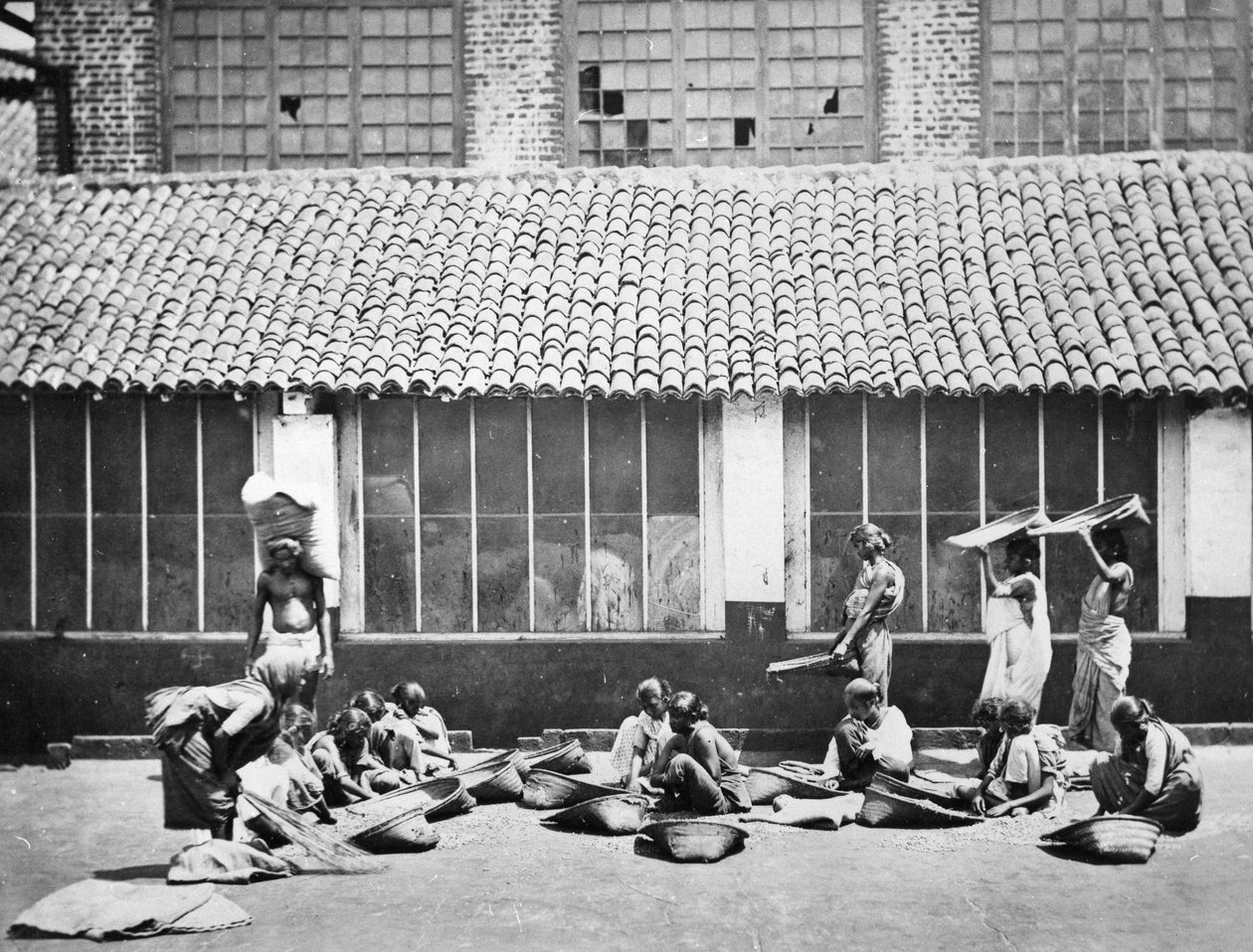 Rengjøring og sortering av kaffe, Colombo, 1870 av S. and Shepherd, C. Bourne