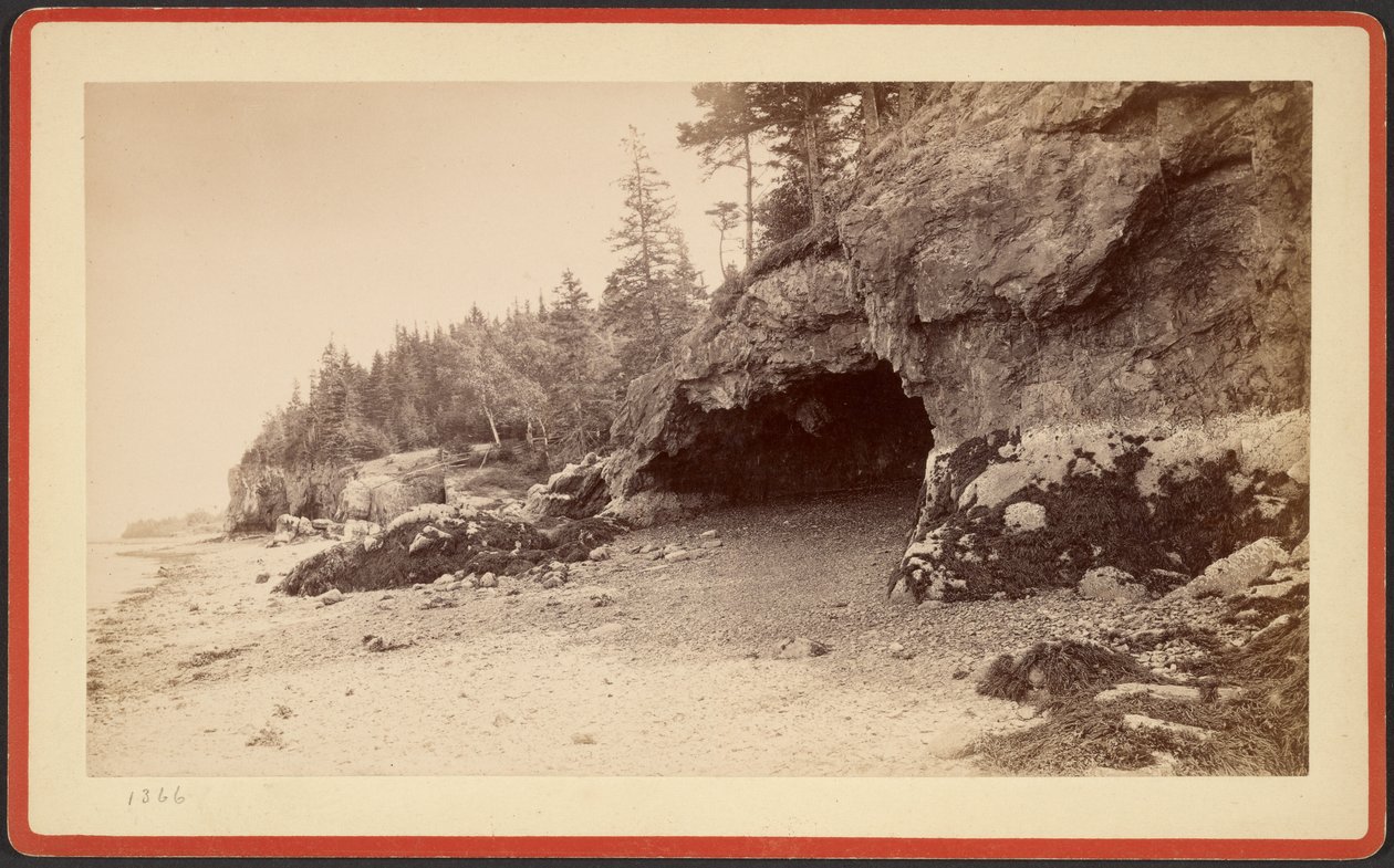  av S.R. Stoddard