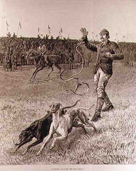 Kurs: Slipping the Greyhounds, fra 