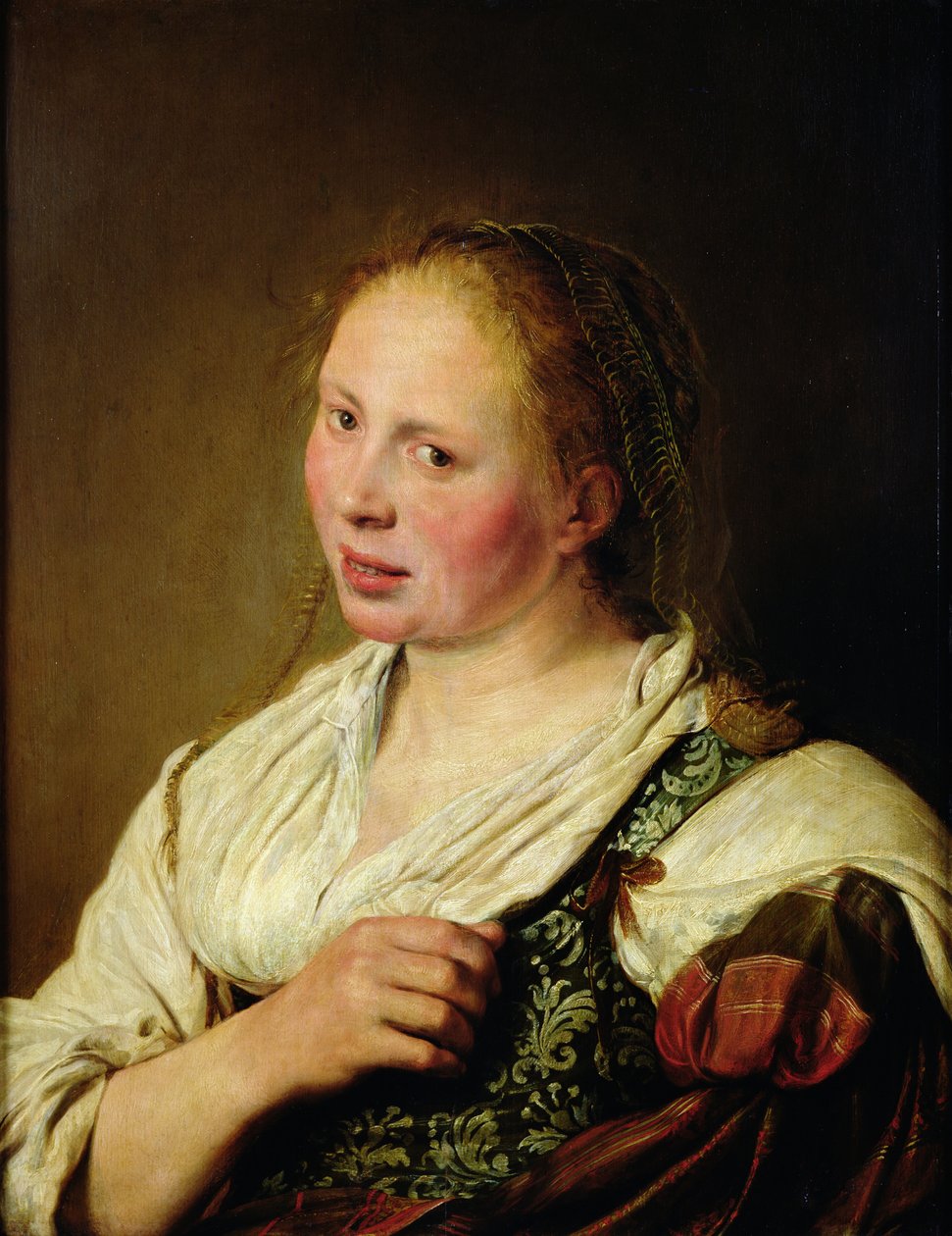 Maleri av den unge bonden av Salomon de Bray
