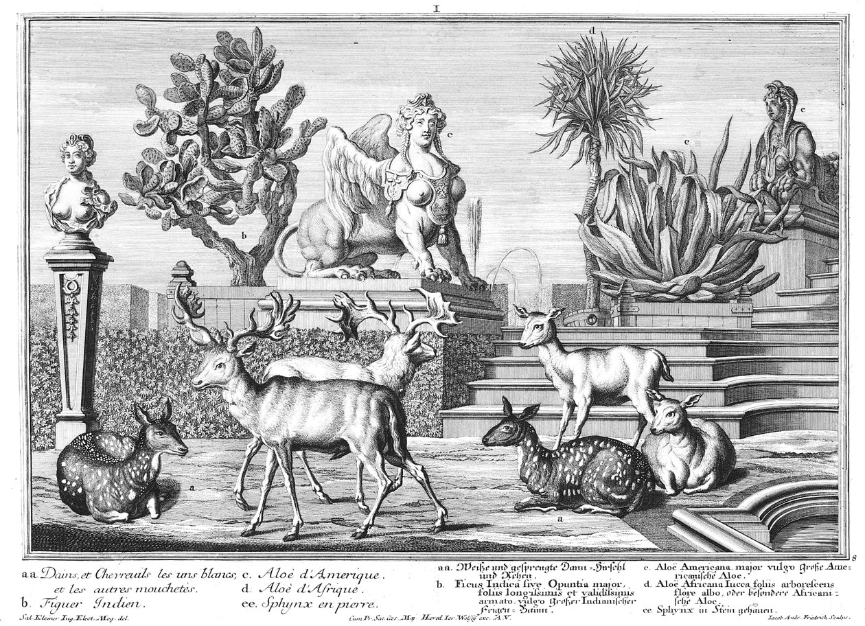 dåhjort av Salomon Kleiner