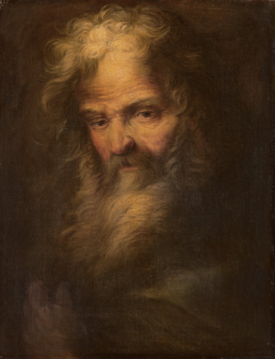 Skjeggete profet av Salvator Rosa