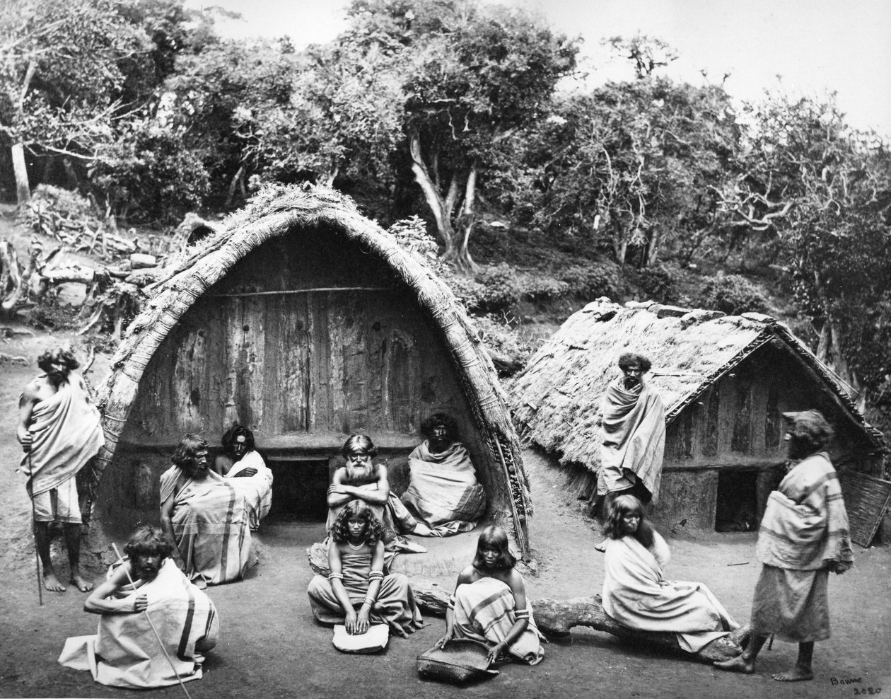 En Toda Mund ved Ootacamund, ca. 1865 av Samuel Bourne