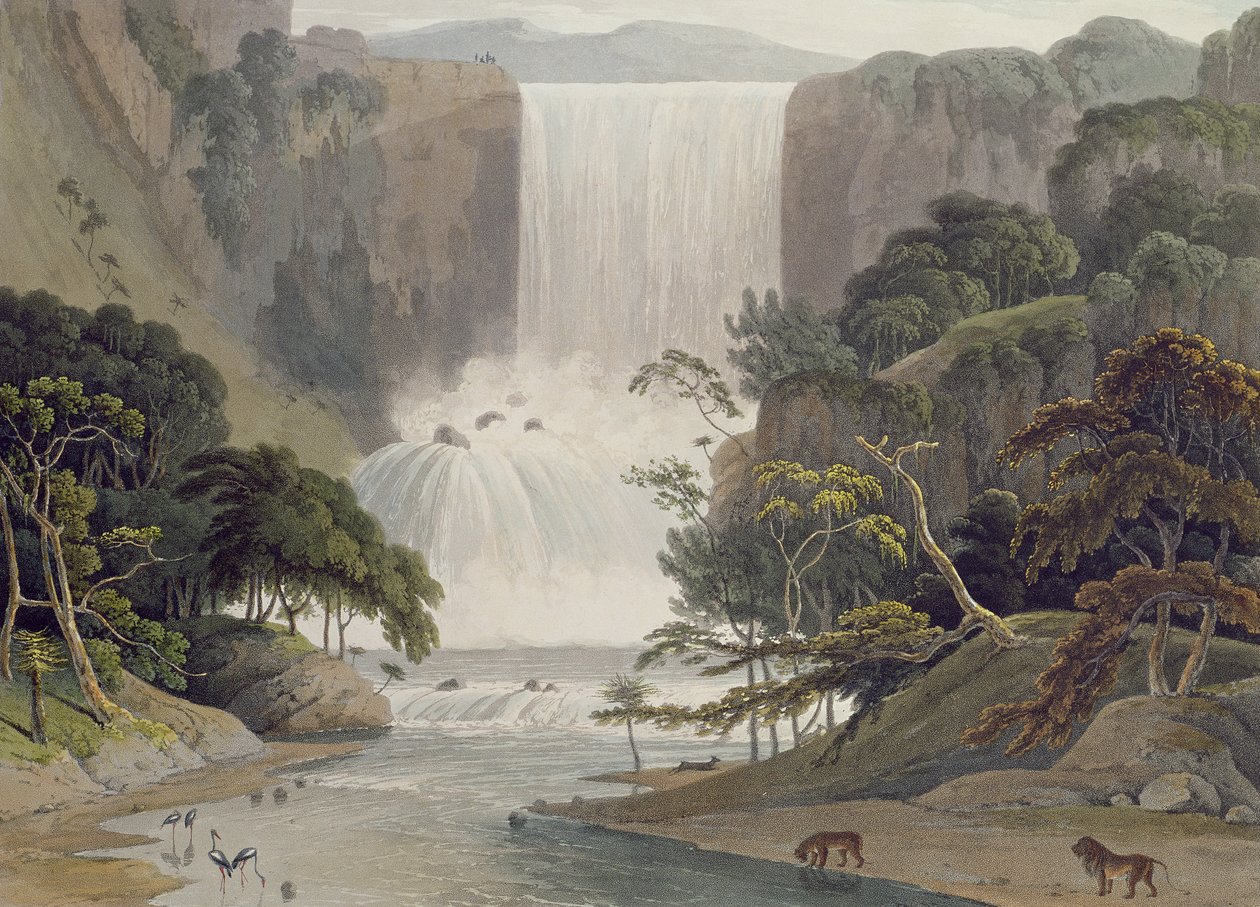 Cascade on Sneuwberg, plate 25 fra 