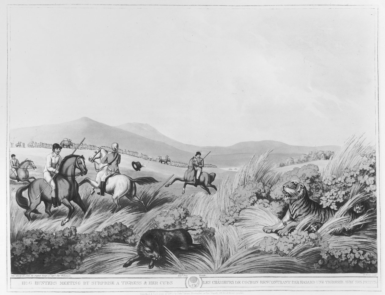 Hog Hunters Meeting, av Surprise, a Tigress and her Cubs, gravert av H.Merke (fl.1800-20) etter et originalt design av Captain Thomas Williamson, pub. av Edward Orme (1774-c.1820) (bundw pho av Samuel Howett
