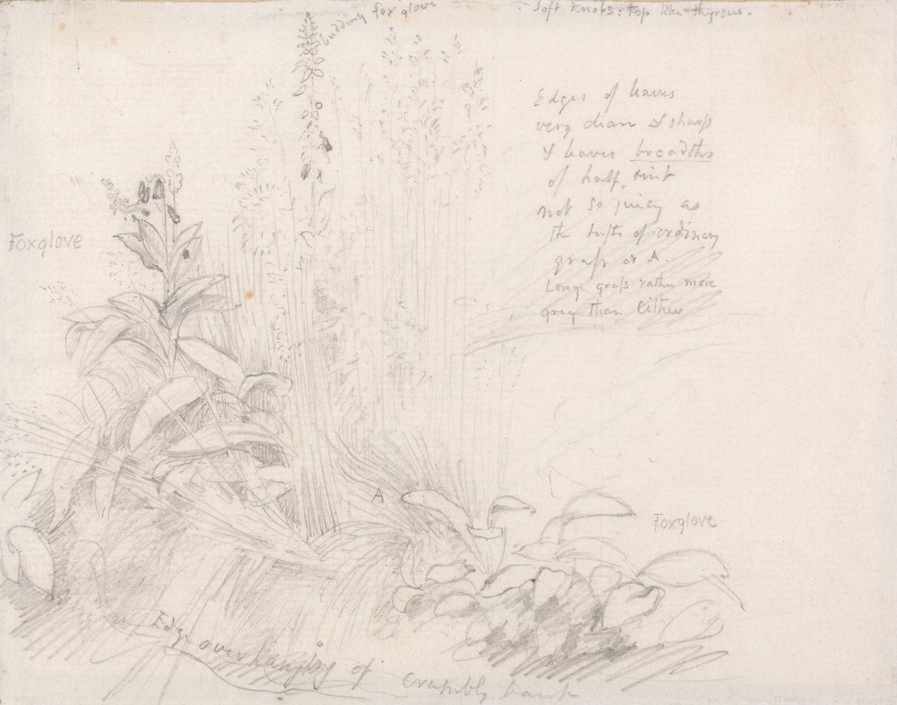 Foxhansker av Samuel Palmer