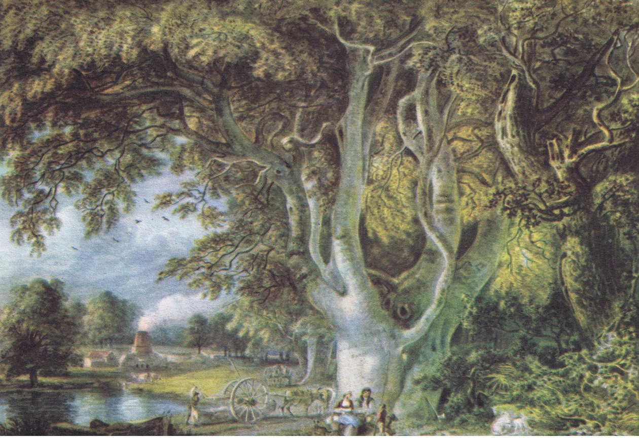 Oak Trees, Shoreham, Kent, Nature in Britain utgitt av Collins, 1946 av Samuel Palmer