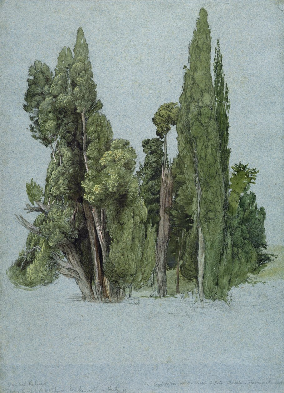 Sypressene ved Villa d
