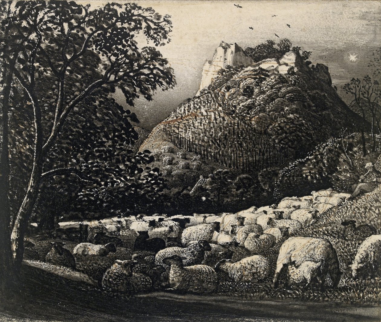 The Flock and the Star (penn og pensel med blekk over blyant og blekk) av Samuel Palmer