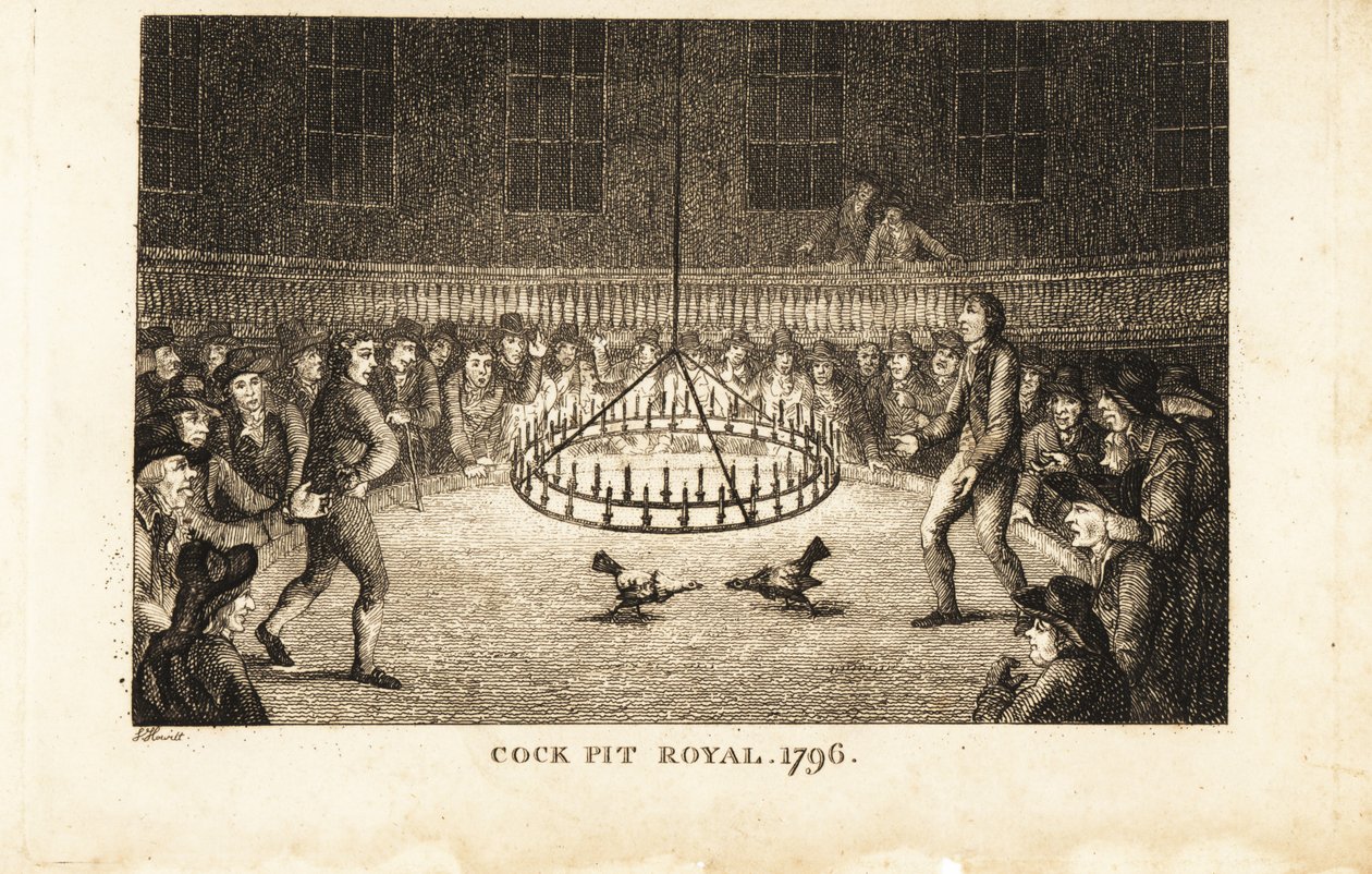 Gamblere ser på en hanekamp ved levende lys ved Cock Pit Royal, St av Samuel (after) Howitt
