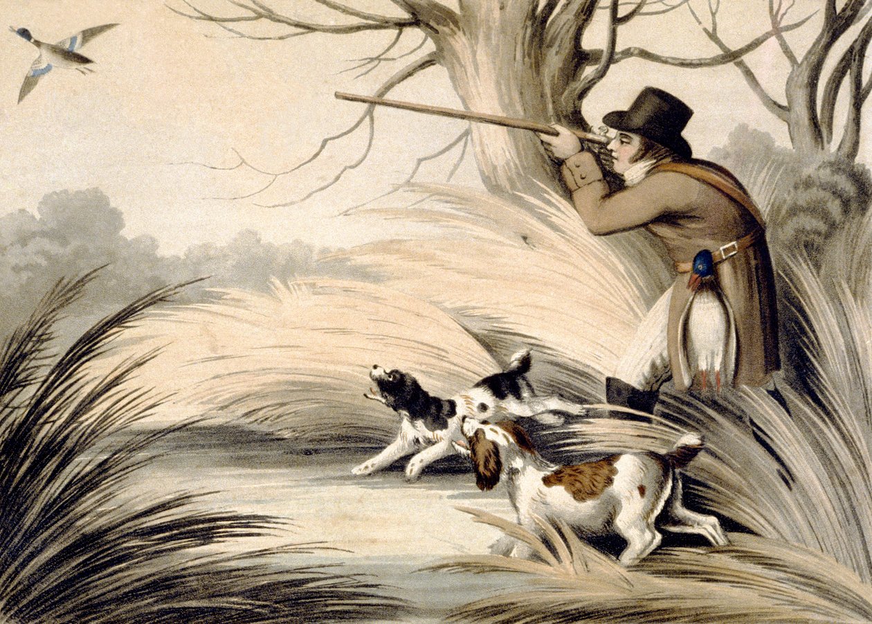 Shooting Duck, gravert av H. Merke, ca. 1809 (farge litho) av Samuel (after) Howitt