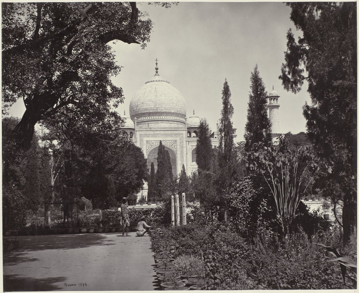 Utsikt over Taj Mahal og dens hage The Taj, from the Garden (original tittel) The Taj (tittel på objekt) av Samuel Bourne (signed by artist)