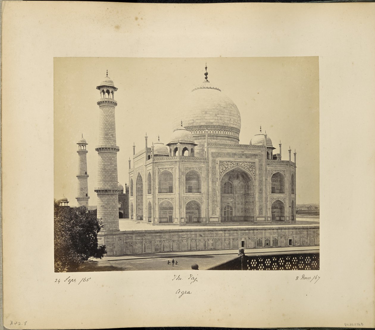 Agra; Taj sett fra hjørnet av firkanten av Samuel Bourne
