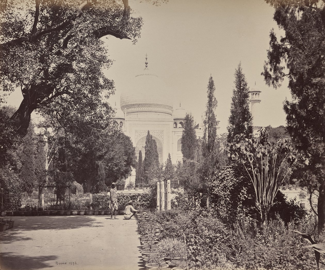 Agra. Utsikt over Taj fra hagen av Samuel Bourne