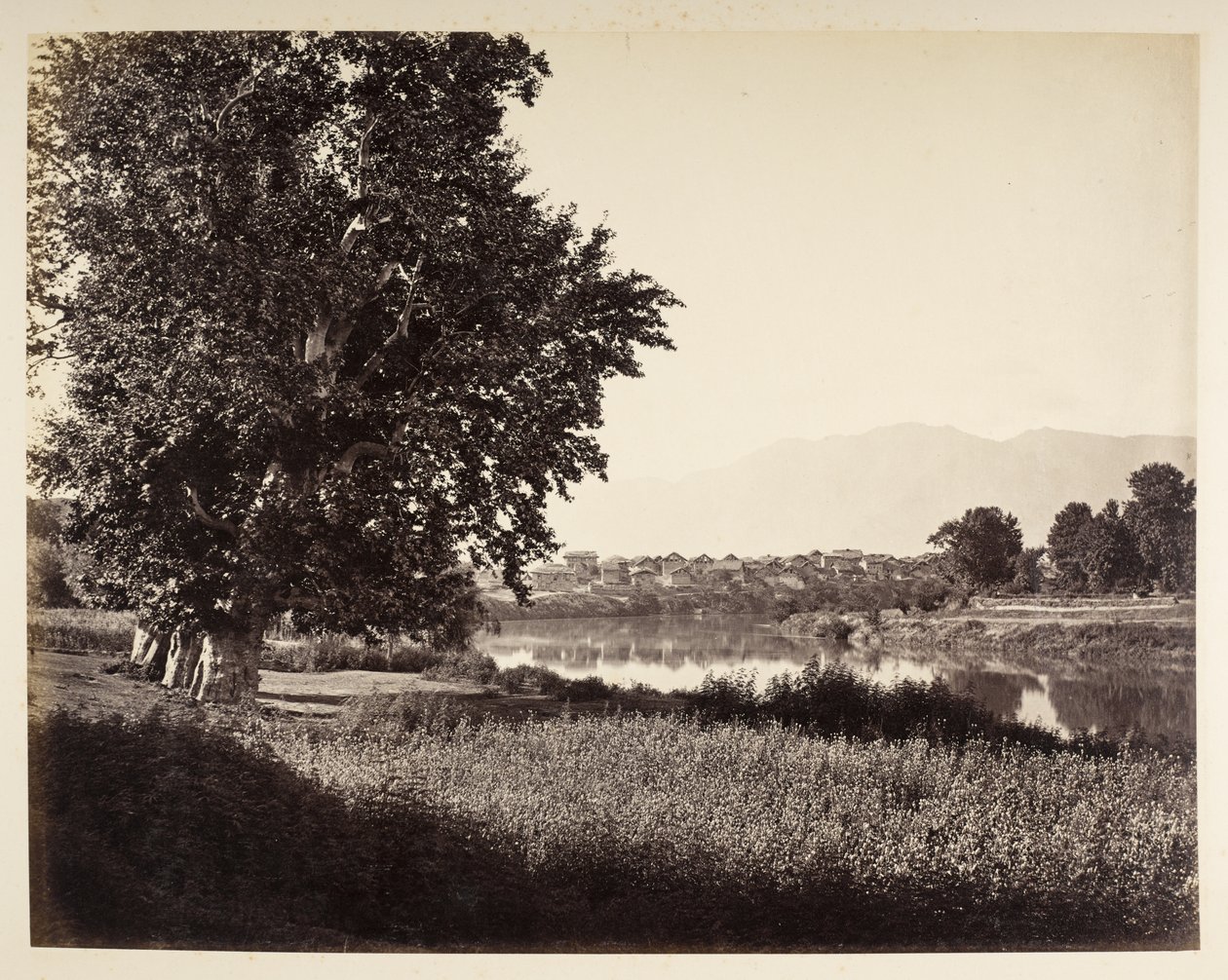 Beej Bihara var Jhelum av Samuel Bourne