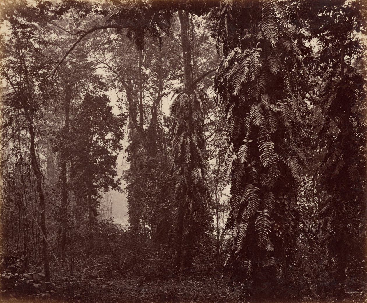  av Samuel Bourne