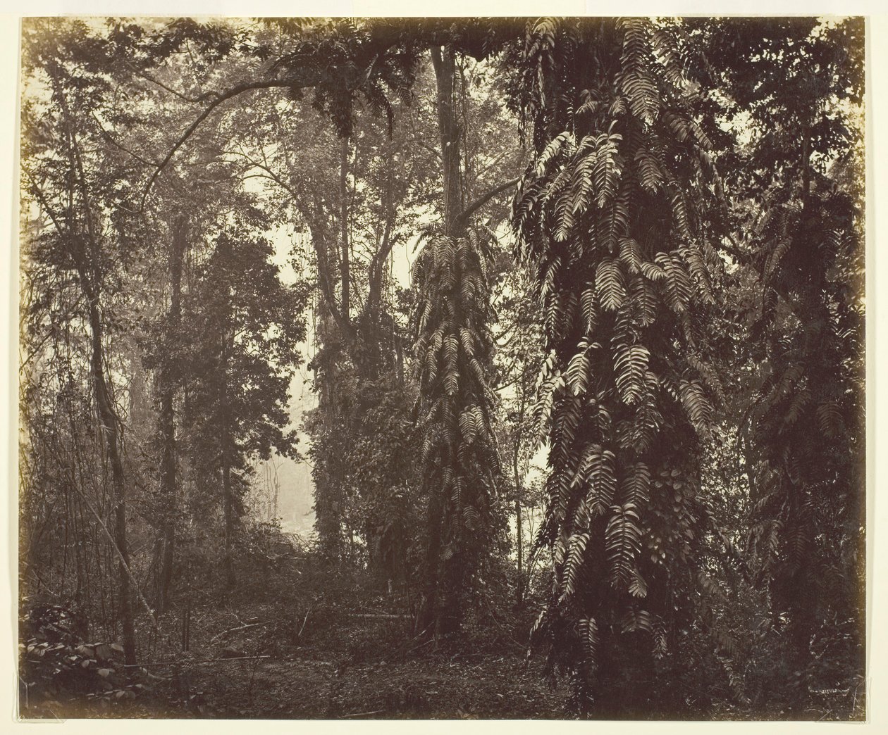 Darjeeling, India, ca. 1865. av Samuel Bourne