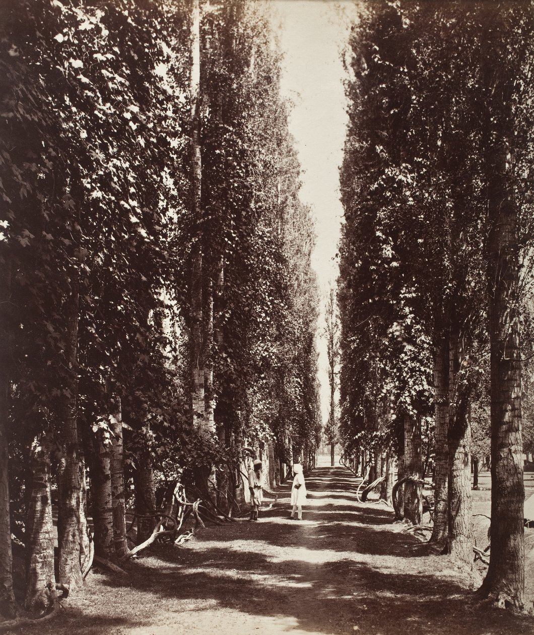 India av Samuel Bourne