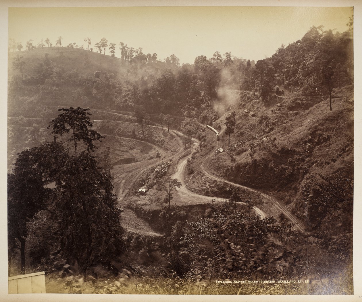 Ryggestasjon nedenfor Teendaria, Darjeeling,  fra 