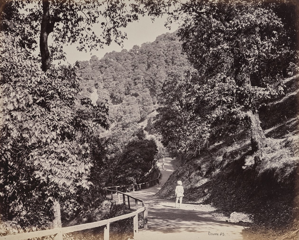 Shimla. The Mall nær Rabq Lodge av Samuel Bourne