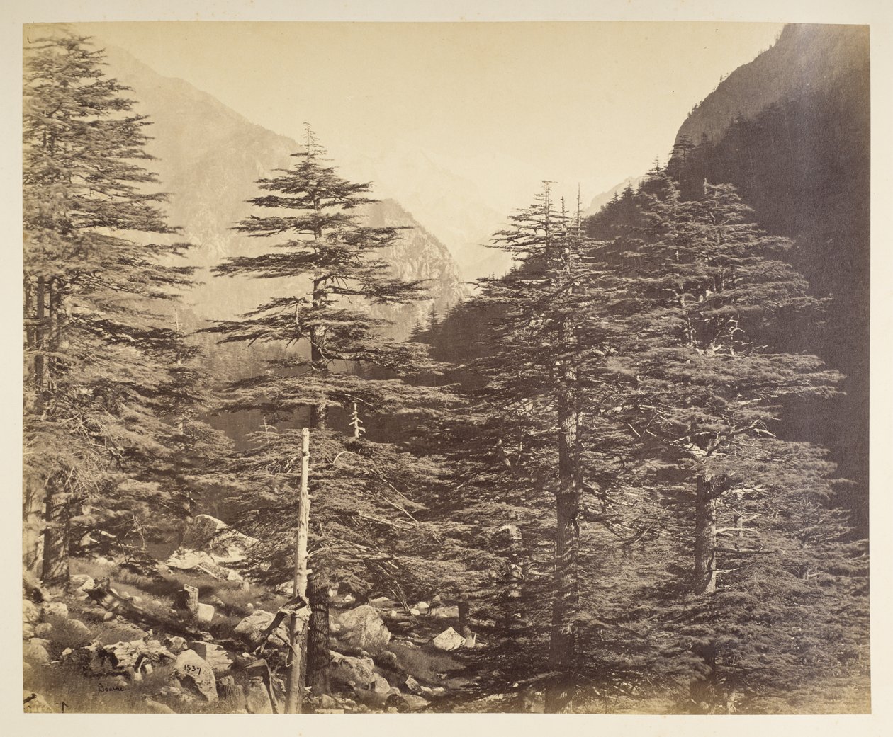 Snødekte topper nær Gangootri fra Bhairamghati. Fotograf: Bourne, Samuel Album med fotografier av India, hovedsakelig av Samuel Bourne1866 av Samuel Bourne