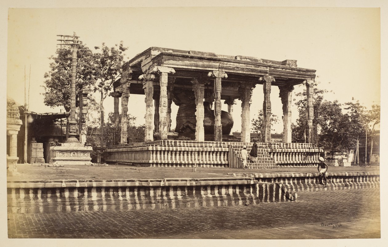Den store steinoksen, Tanjore av Samuel Bourne
