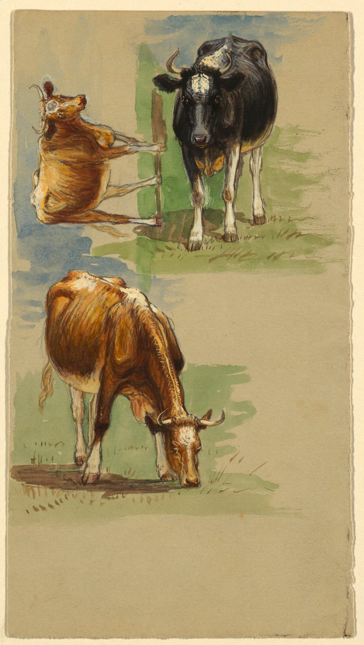 Storfe, stuter av Samuel Colman