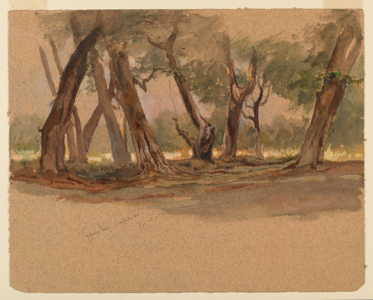 Cypress Trees, Chapultepec, Mexico av Samuel Colman