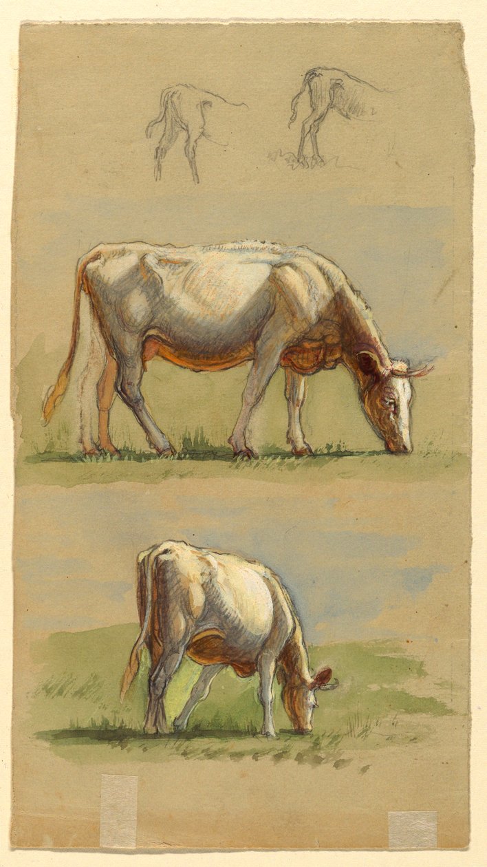  av Samuel Colman