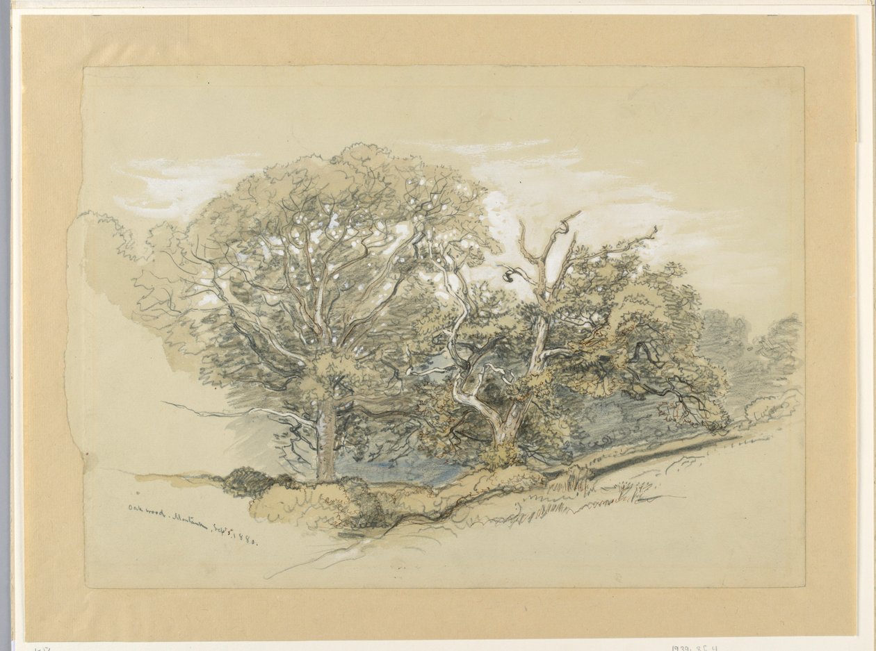 av Samuel Colman