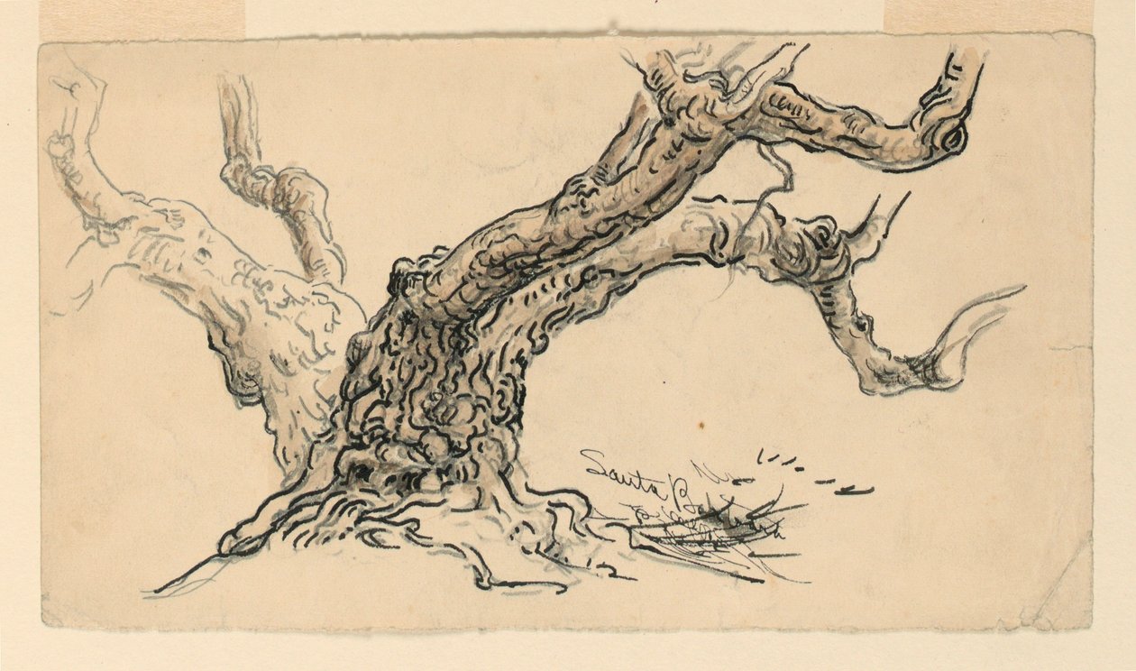  av Samuel Colman