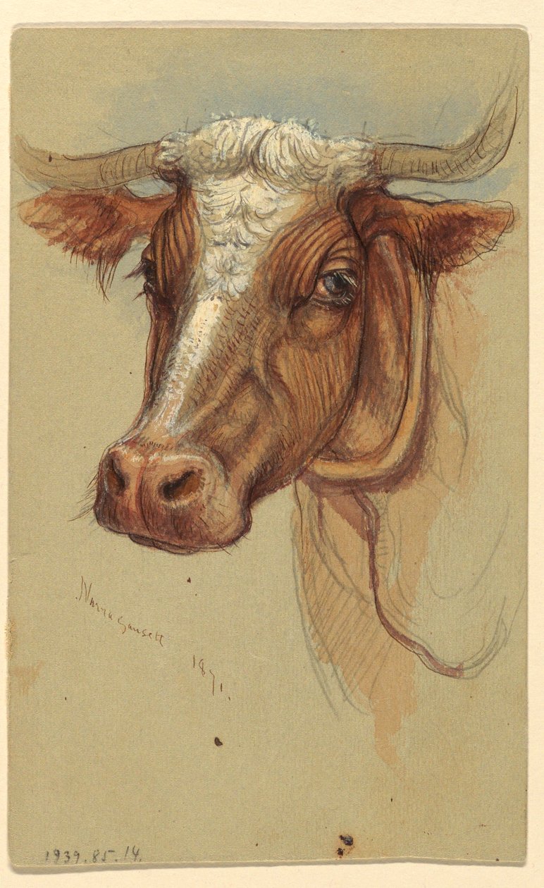  av Samuel Colman