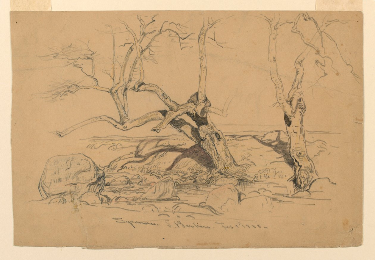  av Samuel Colman