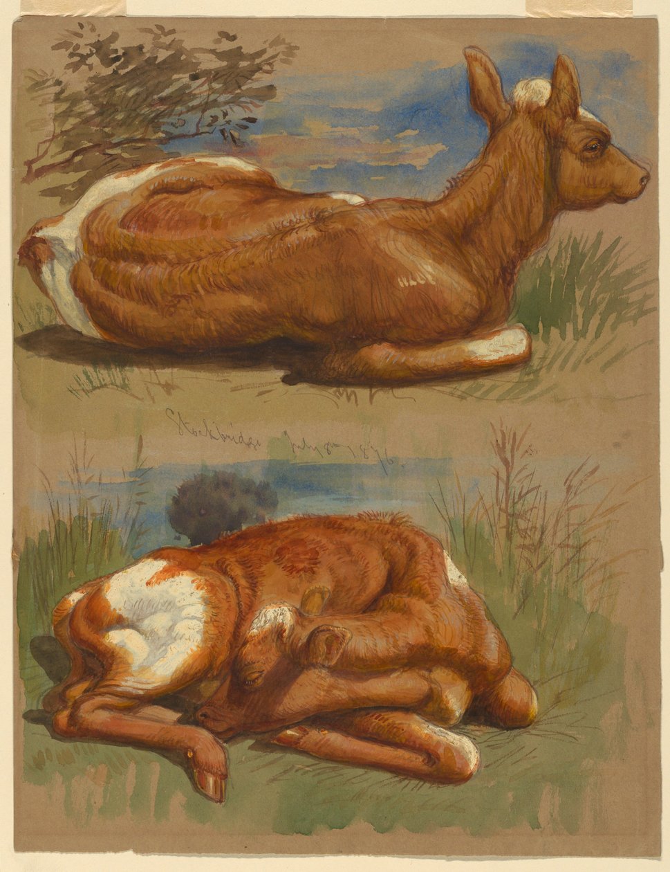  av Samuel Colman