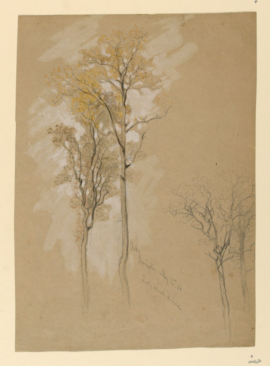 Oaks, Lady Wood Lane, Irvington av Samuel Colman