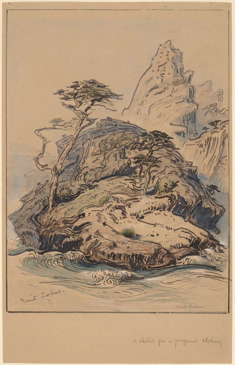 Point Lobos, California av Samuel Colman